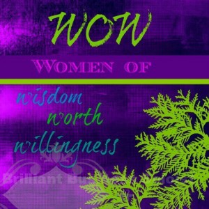 wisdom_worth_willingness